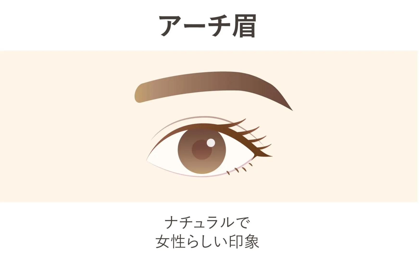 アーチ眉：ナチュラルで女性らしい印象